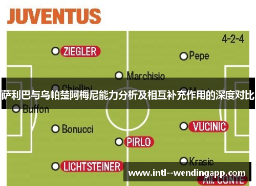 萨利巴与乌帕楚阿梅尼能力分析及相互补充作用的深度对比