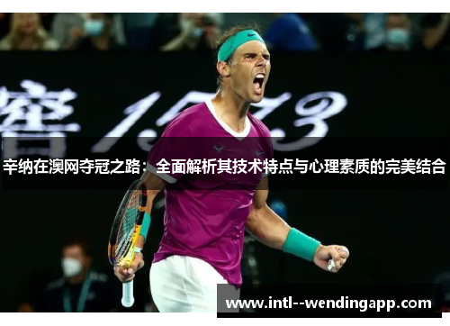 辛纳在澳网夺冠之路：全面解析其技术特点与心理素质的完美结合