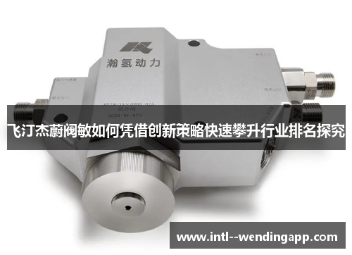 飞汀杰蔚阀敏如何凭借创新策略快速攀升行业排名探究