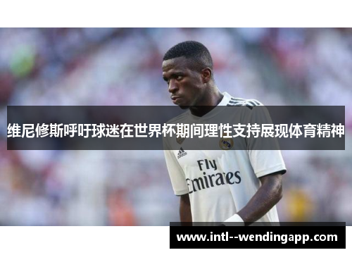 维尼修斯呼吁球迷在世界杯期间理性支持展现体育精神