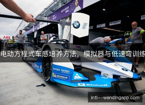 电动方程式车感培养方法,模拟器与低速弯训练 电动方程式车感培养方法,模拟器与低速弯训练